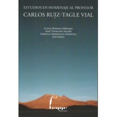Estudios en Homenaje al Profesor Carlos Ruiz – Tagle Vial