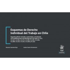 Esquemas de Derecho Individual del Trabajo en Chile 2da Edición