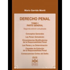 DERECHO PENAL - PARTE GENERAL - TOMO I