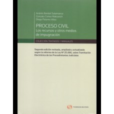 PROCESO CIVIL: LOS RECURSOS Y OTROS MEDIOS DE IMPUGNACIÓN