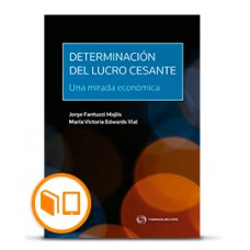 DETERMINACIÓN DE LUCRO CESANTE: UNA MIRADA ECONÓMICA