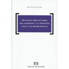 Acciones Protectoras del Dominio y la Posesión ante la Jurisprudencia