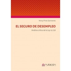 El Seguro de Desempleo, Análisis Crítico de la Ley 19.728