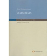 DE LOS BIENES. 3 EDICIÓN